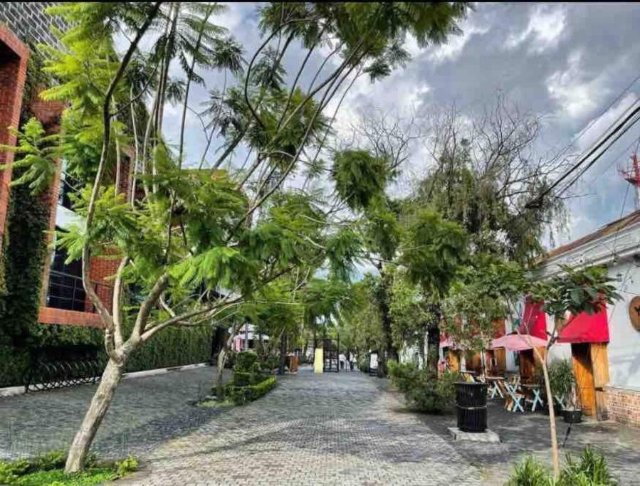 Makachi Hotel Città del Guatemala Esterno foto
